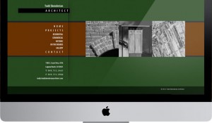 Todd Skenderian Architect Website
